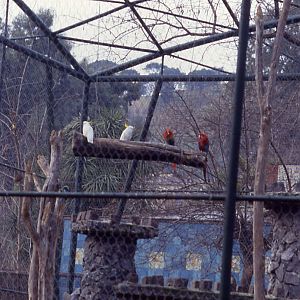 Giardino Zoologico, Napoli