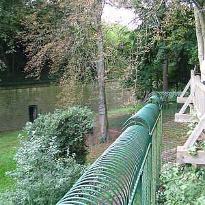 Part of Amur Tiger Exhibit at Landau Zoo, 04/09/10