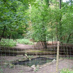 Muntjac and Crane Exhibit at Landau Zoo, 04/09/10