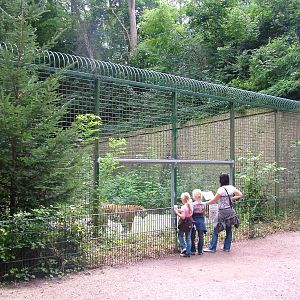 Part of Amur Tiger Exhibit at Landau Zoo, 04/09/10