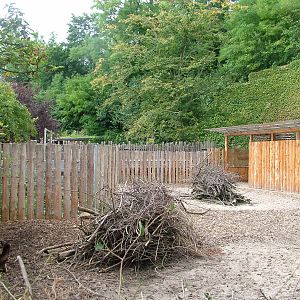 Philippine Spotted Deer Exhibit at Landau Zoo, 04/09/10