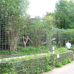 Jaguar Exhibit at Landau Zoo, 04/09/10
