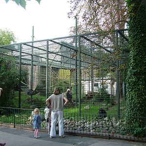 Chimpanzee Exhibit at Landau Zoo, 04/09/10