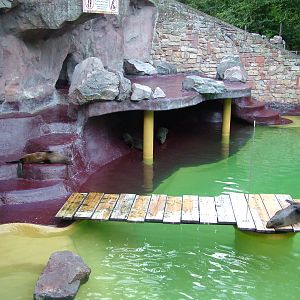 Fur Seal Exhibit at Landau Zoo, 04/09/10