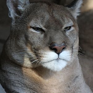 "It's not even noon? Away with you!"