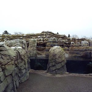 Humboldt Penguin Exhibit