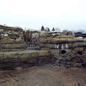 Humboldt Penguin Exhibit + Visitor Area