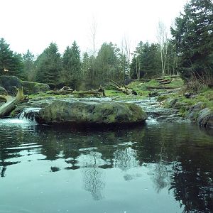 Grizzly Bear Exhibit