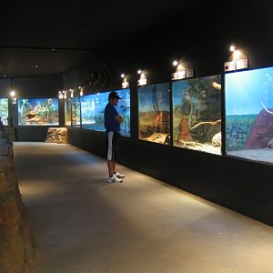 Reptile House interior