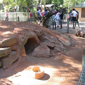 Hairy-nosed Wombat enclosure
