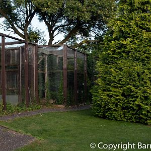 Santago Leopard Project