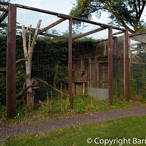 Santago Leopard Project