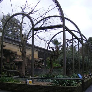 Eastern Aviary at London Zoo, 15 January 2011