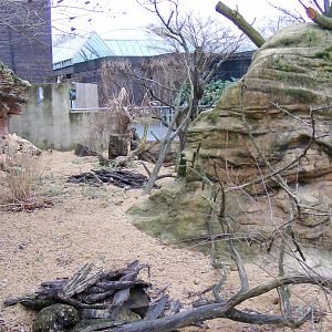 Meerkat enclosure at London Zoo, 15 January 2011