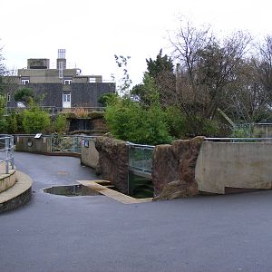 Asian short-clawed otter enclosure at London Zoo, 15 January 2011