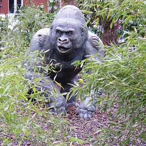 Guy the gorilla statue at London Zoo, 15 January 2011