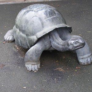 Galapagos giant tortoise statue at London Zoo, 15 January 2011