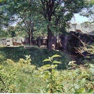 Herbivore/Carnivore Mixed Hoof-Stock Exhibit - July 2004