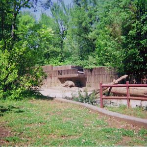 White Rhinoceros Paddock