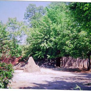 Scimitar-horned Oryx/ Grant's Zebra Yard
