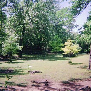 Nile Lechwe / Ostrich Yard