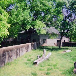 Gerenuk Exhibit - Round Barn