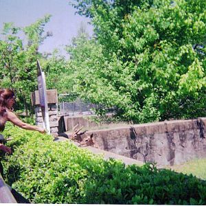 Visitors Feeding Gerenuk - Round Barn