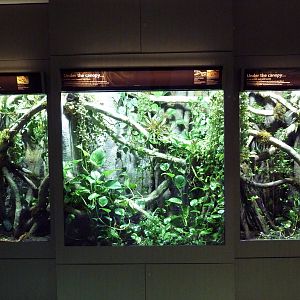 Amazon Gallery - Assorted Terrariums