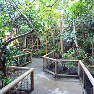 Amazon Gallery - Walk-Through Area