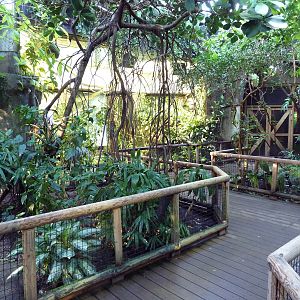 Amazon Gallery - Walk-Through Area