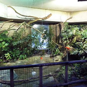 Amazon Gallery - Walk-Through Area