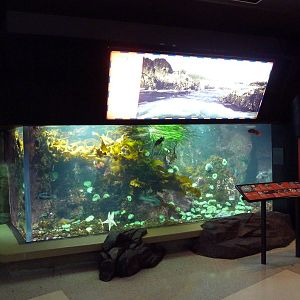 Treasures Of The B.C. Coast Gallery