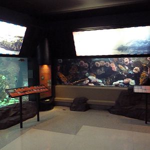 Treasures Of The B.C. Coast Gallery