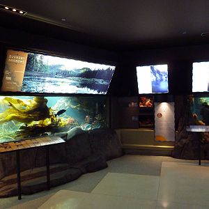 Treasures Of The B.C. Coast Gallery