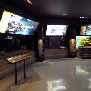 Treasures Of The B.C. Coast Gallery