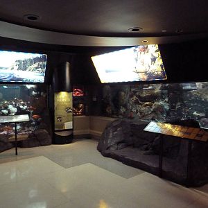 Treasures Of The B.C. Coast Gallery