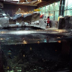 Strait Of Georgia Exhibit