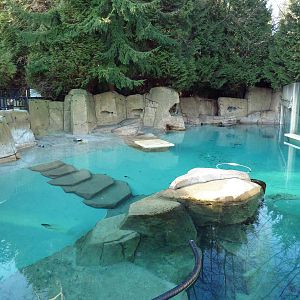 Harbour Porpoise Exhibit