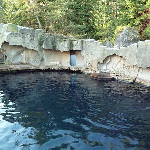 Steller's Sea Lion/Harbour Seal Exhibit