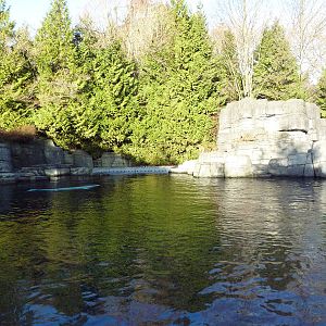 Beluga Whale Exhibit
