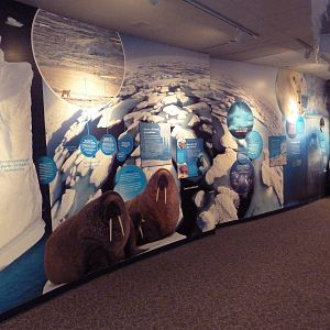 Arctic Canada Signage - New In Oct. 2009