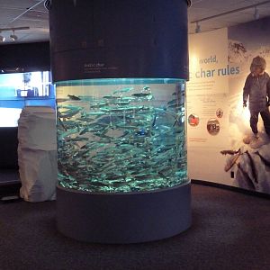 Arctic Canada Signage + Arctic Char - New In Oct. 2009