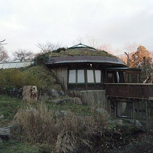 Bear/Coati/Howler Monkey/Otter House