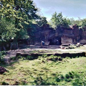 Black Rhinoceros Yard - May 2004