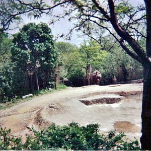 Indian Rhinoceros Yard - May 2004