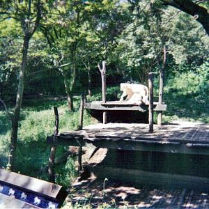 White Lion Exhibit - May 2004