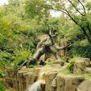 Western Lowland Gorilla Exhibit - July 2001