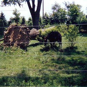 Okapi Yard - August 2003