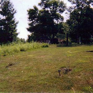 Central Ohio Prairie Flora Display With View Into the Bison / Pronghorn Pad