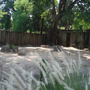 Wallaby Exhibit